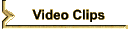 Video Clips